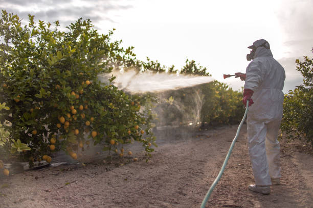 Best Pest Inspection Near Me  in Innsbrook, VA