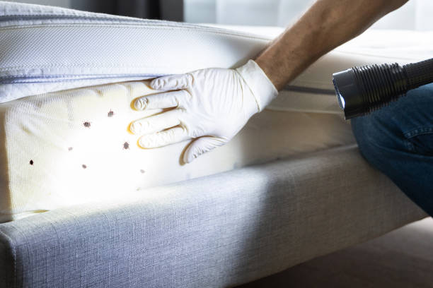 Best Best Pest Control Companies  in Innsbrook, VA