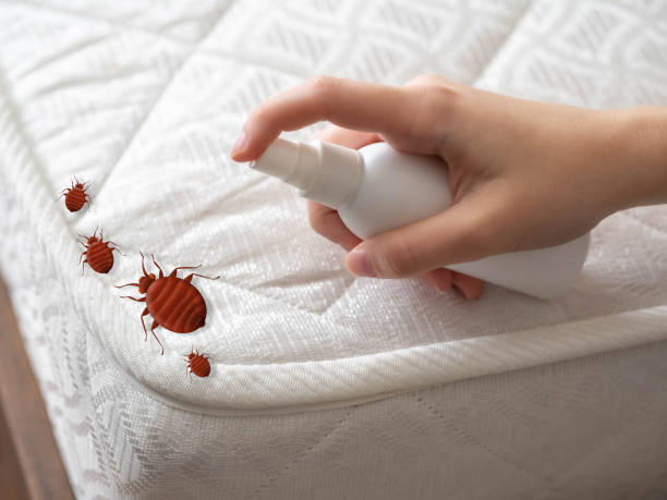 Best Best Pest Control Companies  in Innsbrook, VA